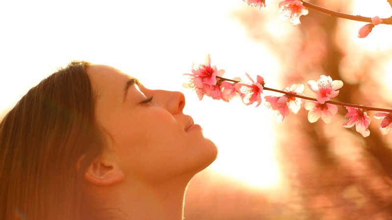 Lady smelling pink flowers on a tree branch outside